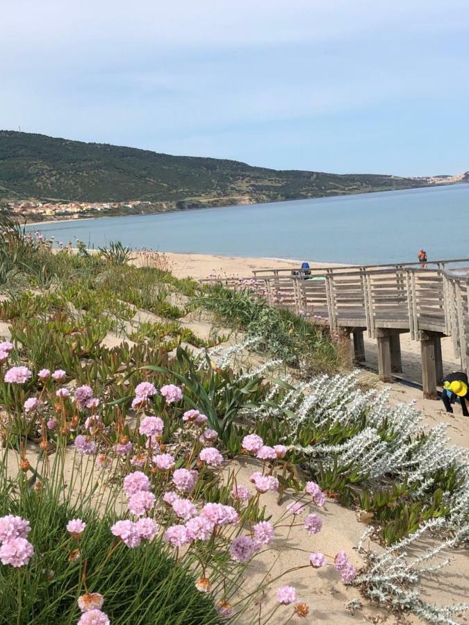 Villa Vista Mare Valledoria  Eksteriør billede